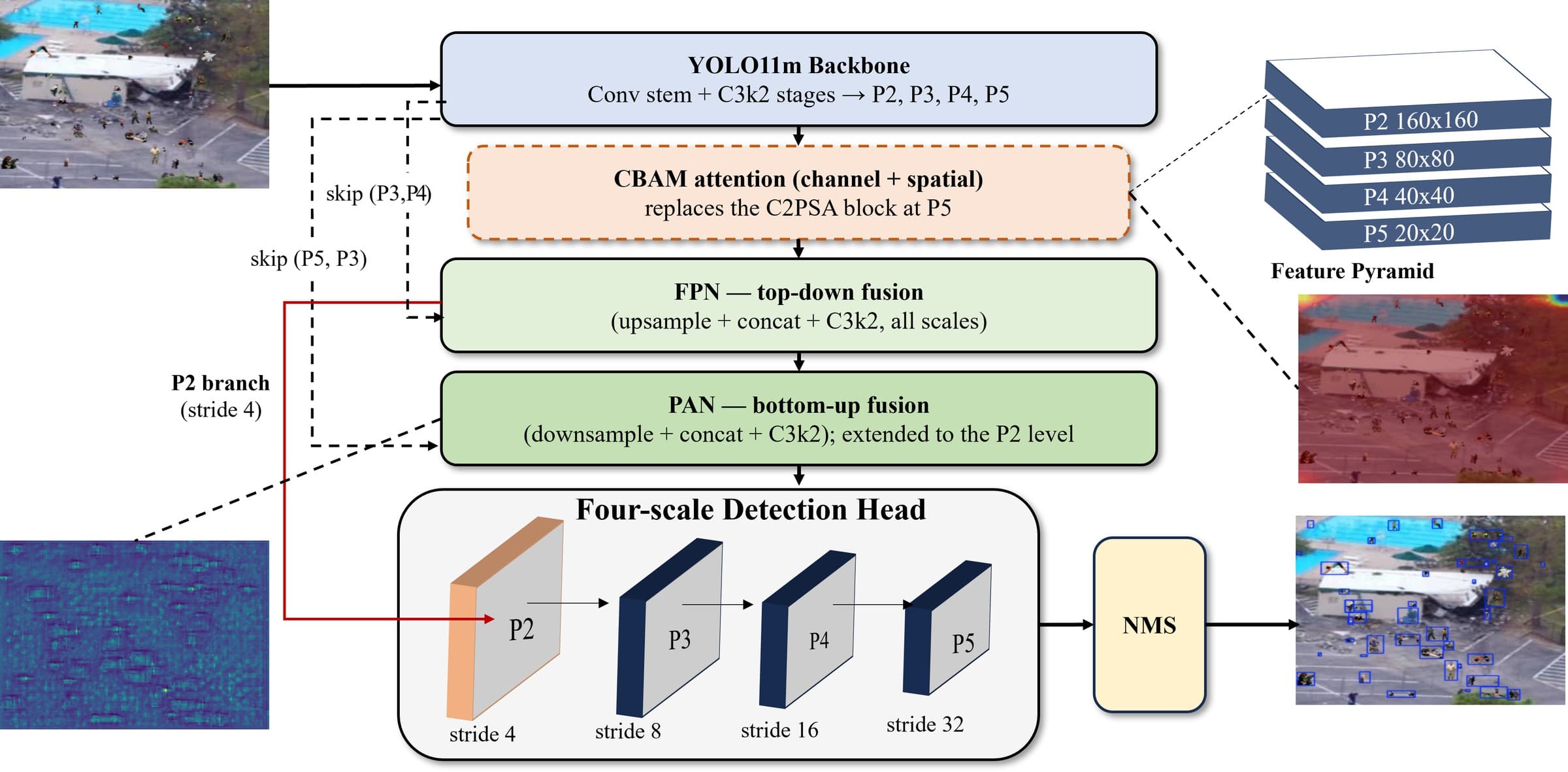 MSA-YOLO architecture with CBAM attention, a stride-4 P2 detection branch, and multi-scale detection heads